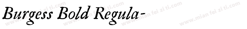 Burgess Bold Regula字体转换